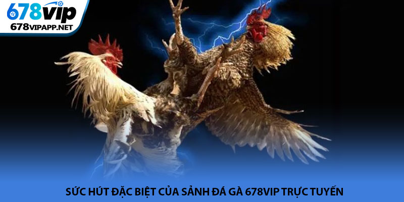 Đá gà 678VIP - Sảnh cược chiến kê trực tuyến kịch tính 2026 2 Sức hút đặc biệt của sảnh đá gà 678VIP trực tuyến